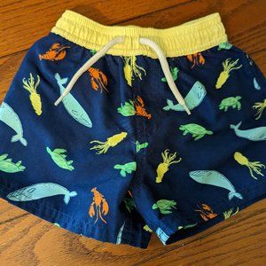 Floatimini Navy Blue Sea Creatures Turtles Whales Lined Swim Trunks Boys sz 18M